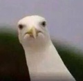 7037